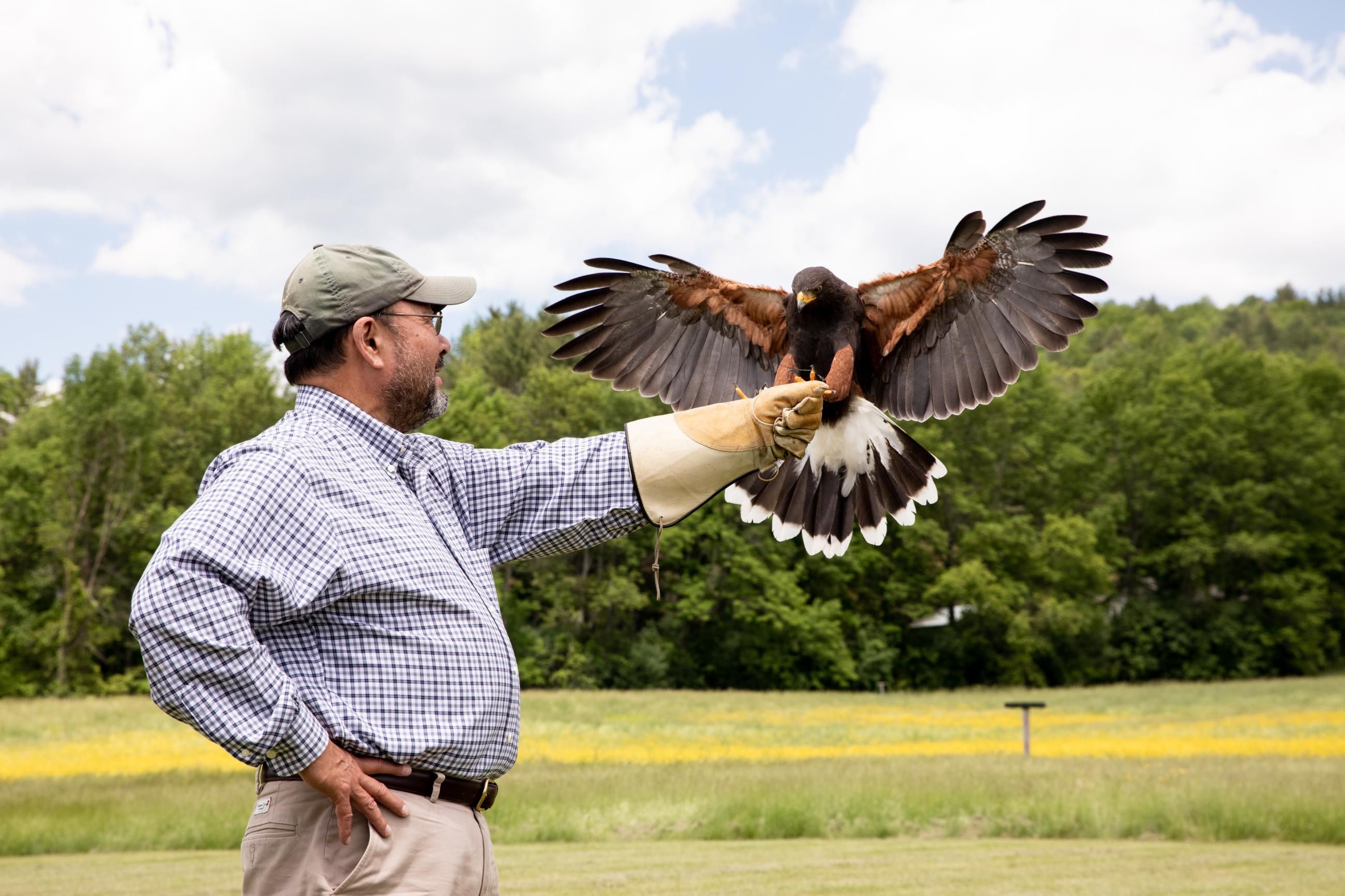 Irwin NE Falconry WIR 026.jpg