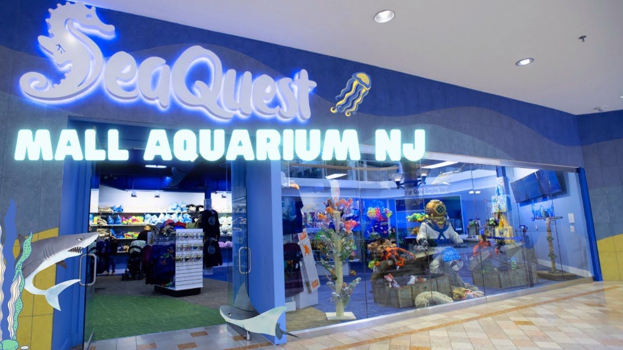 seaquest-woodbridge-your-gateway-to-underwater-wonders-and-more.jpeg